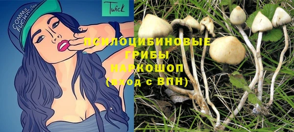 дурь Алзамай