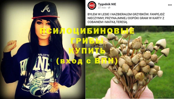 дурь Алзамай