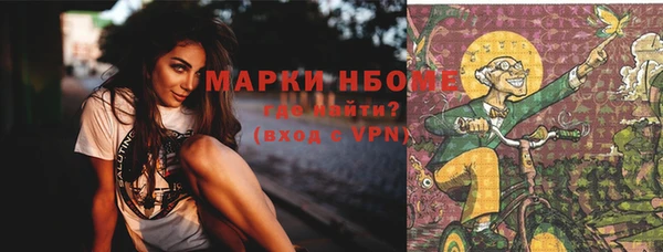 бошки Алексин