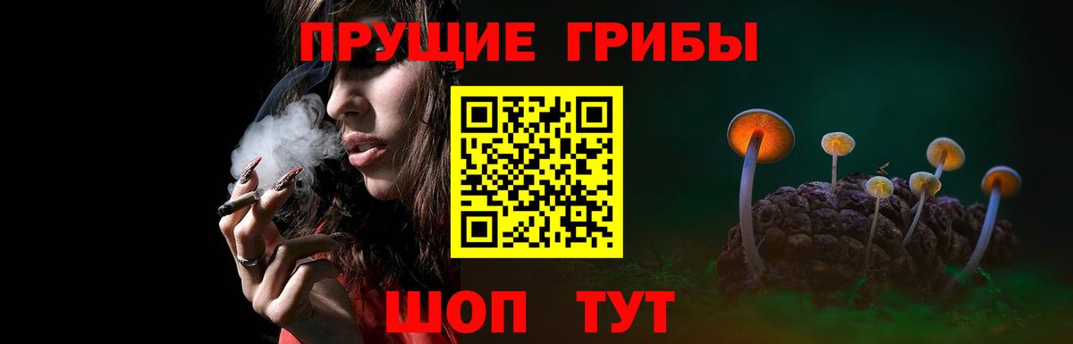 Псилоцибиновые грибы GOLDEN TEACHER Нижнеудинск