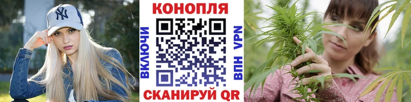 Бошки марихуана сатива Нижнеудинск