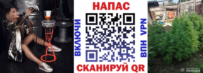 Бошки марихуана SATIVA & INDICA  Нижнеудинск 